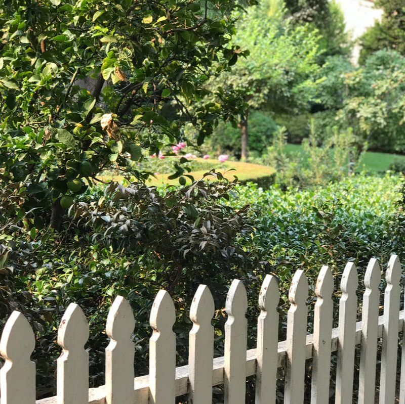 Picture of a white picket fence and greenery